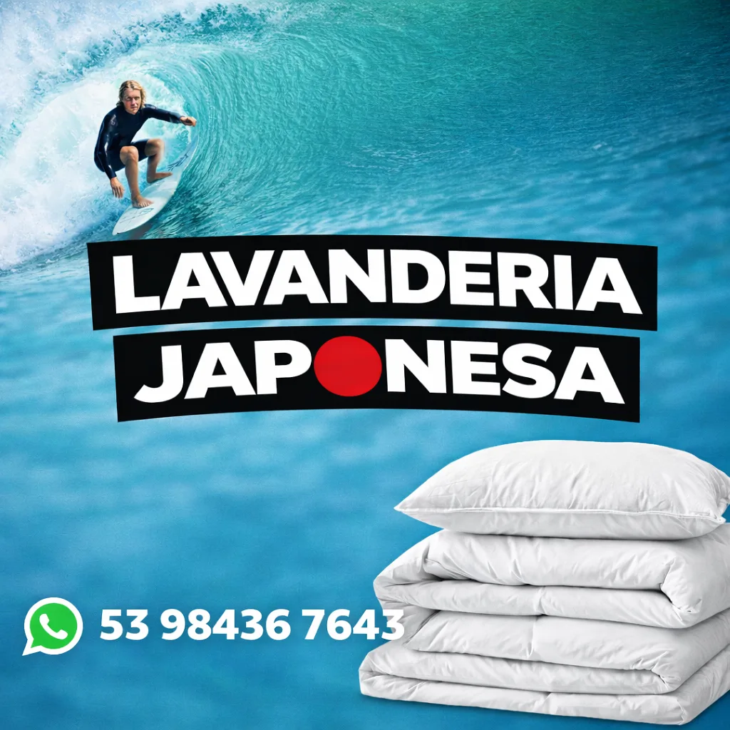 Logo de Lavanderia Japonesa