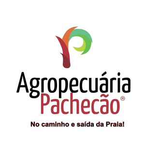 Anúncio de Pet Pachecão